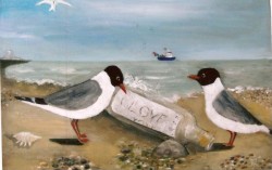 Black Headed Gulls