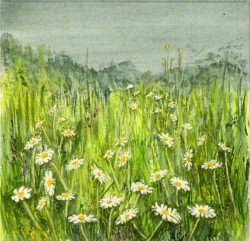 Painting of daisies in meadow.