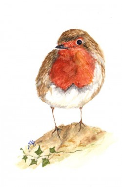 Painting of a robin.