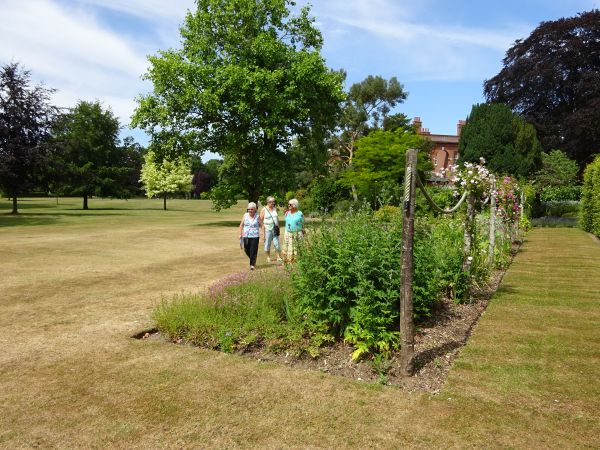 Lawn with beds and visitors