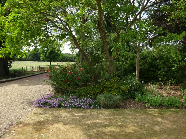 Bed under trees adjacent to path. Lawn in fron.