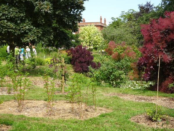 Lawn with inset beds and trees to rear.