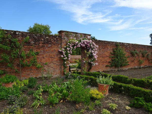 Brick wall with plants growing and beds in front.