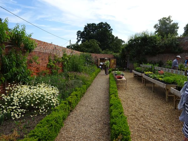 Walled garden with gravel paths, beds and low hedges. 