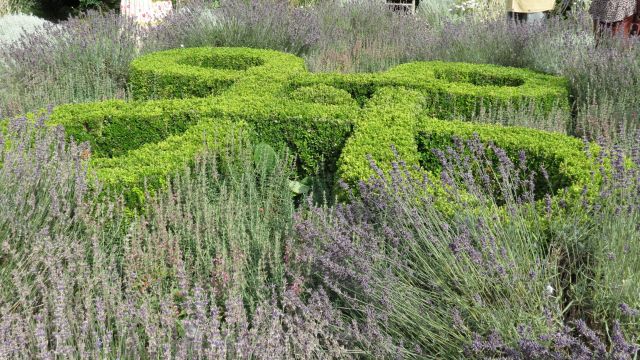 4-segment knot garden.