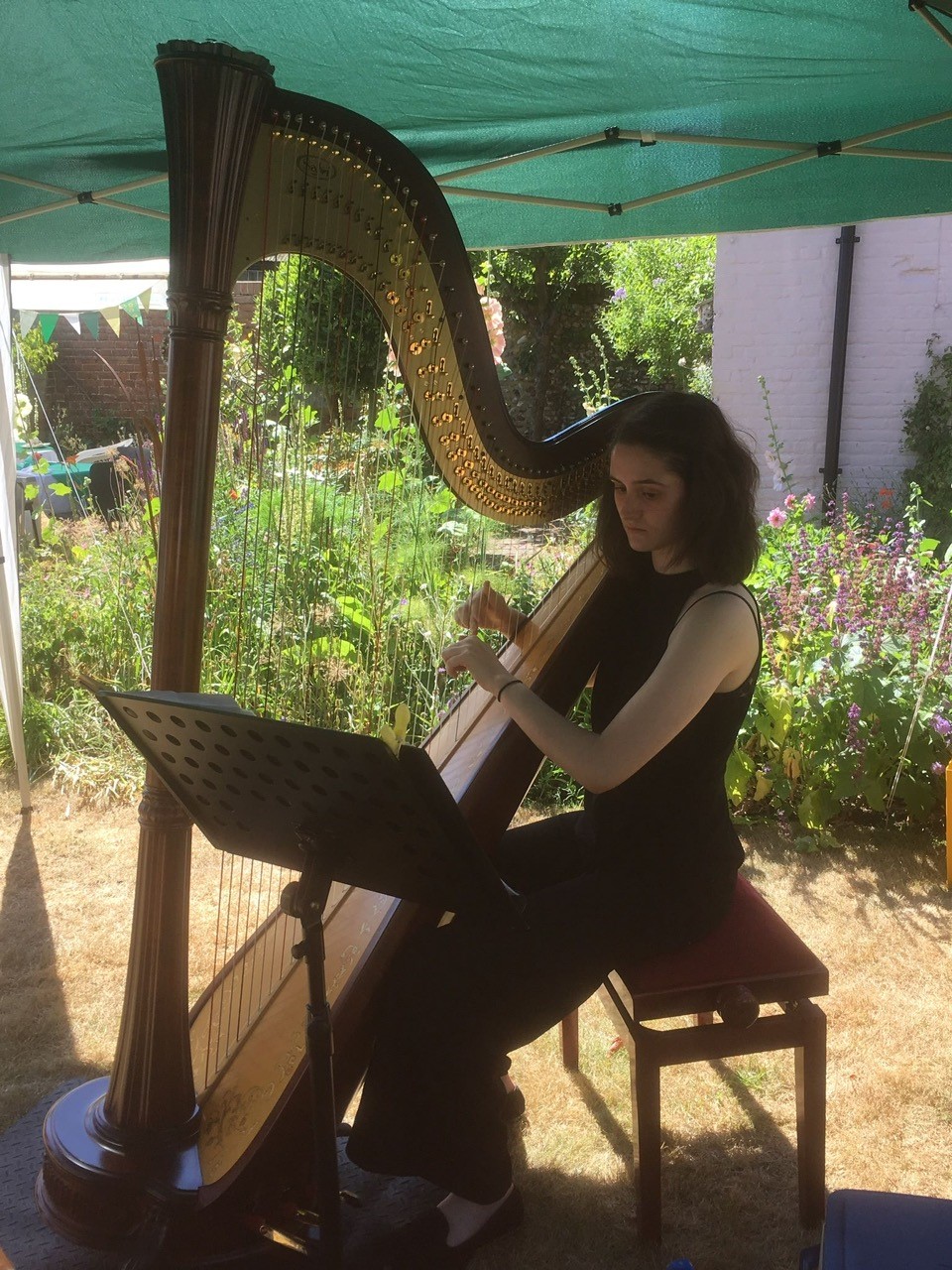 Musician playing harp.