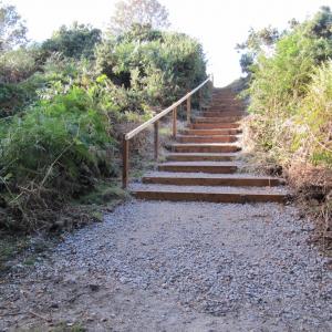 New Black Slough steps September 2015