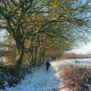 Winter in Hardpiece Lane