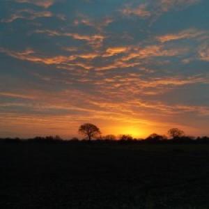 Sky over Community Field